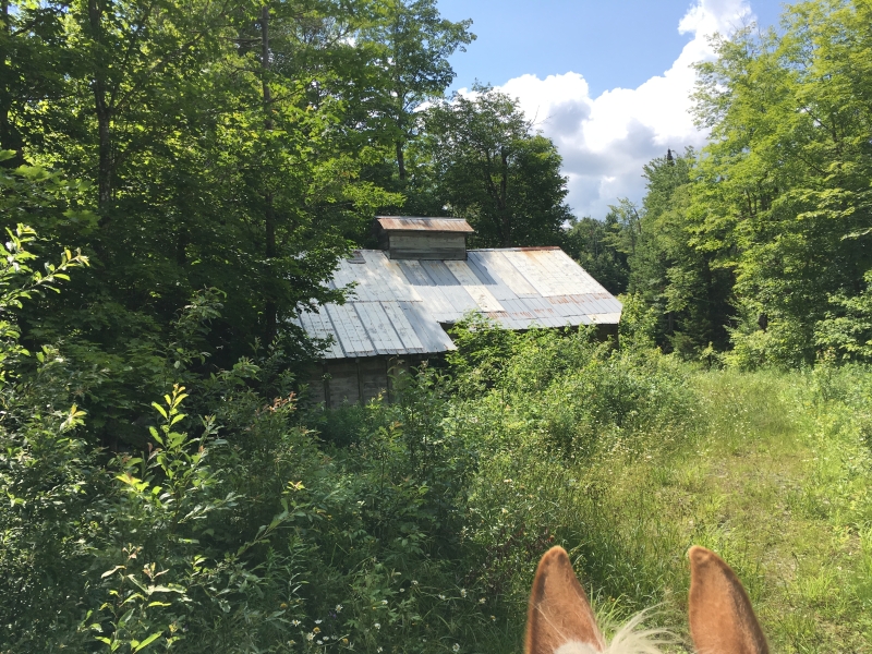 vacances à cheval au Québec