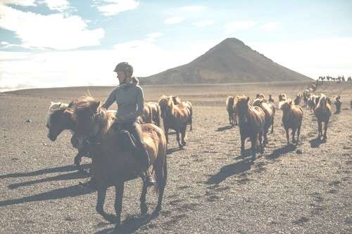 randonnee equestre islande