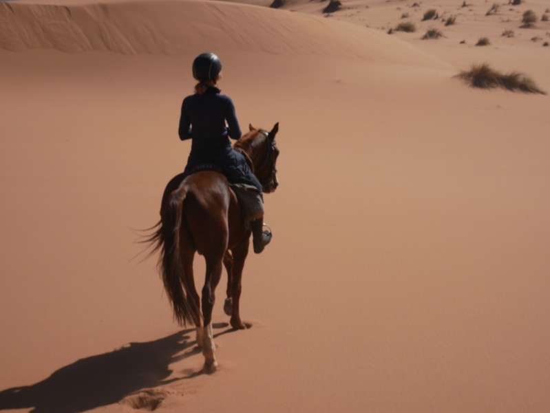 rando a cheval au maroc