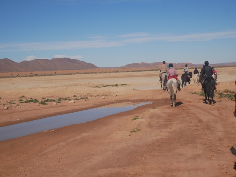 rando equestre au maroc