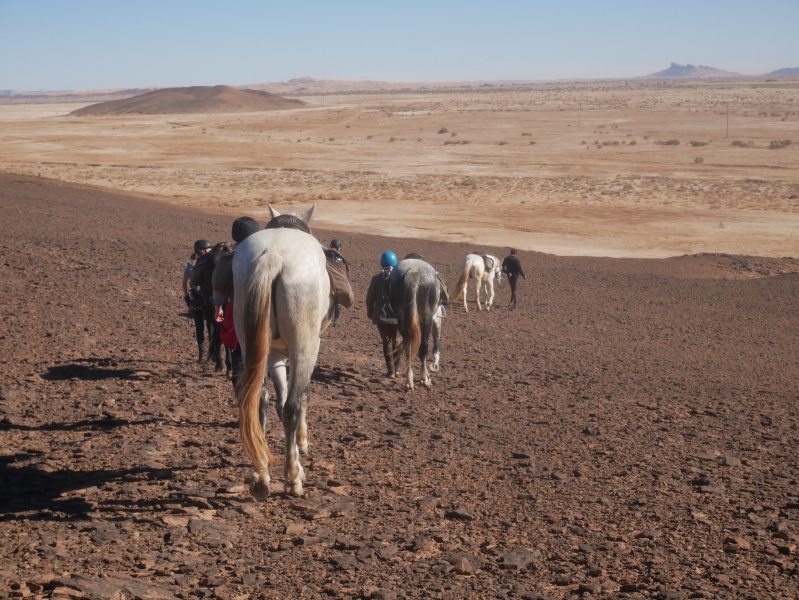 randonnee a cheval au maroc