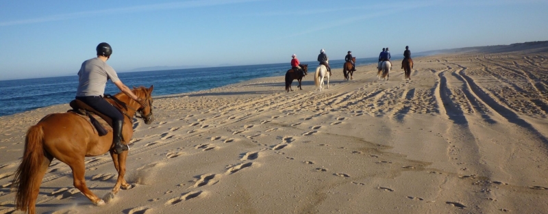 rando cheval portugal