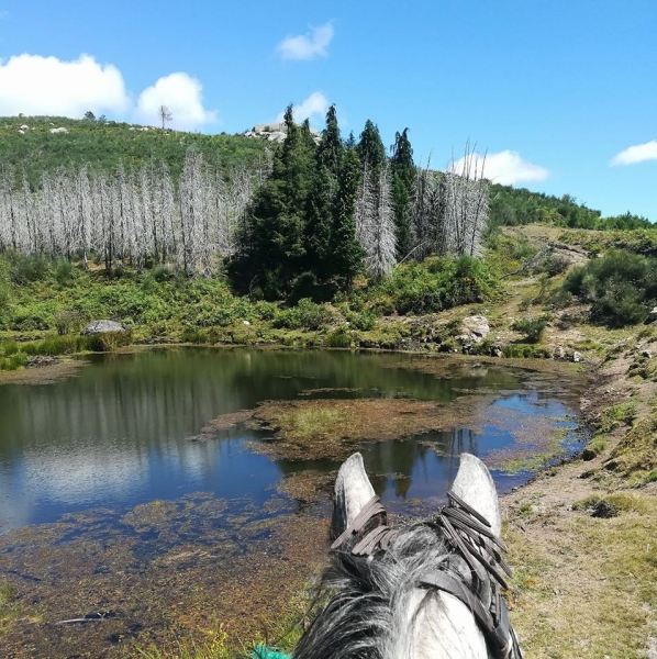 centre tourisme equestre portugal