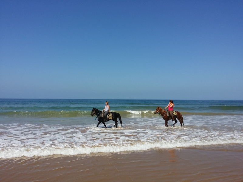 decouverte du Maroc à cheval