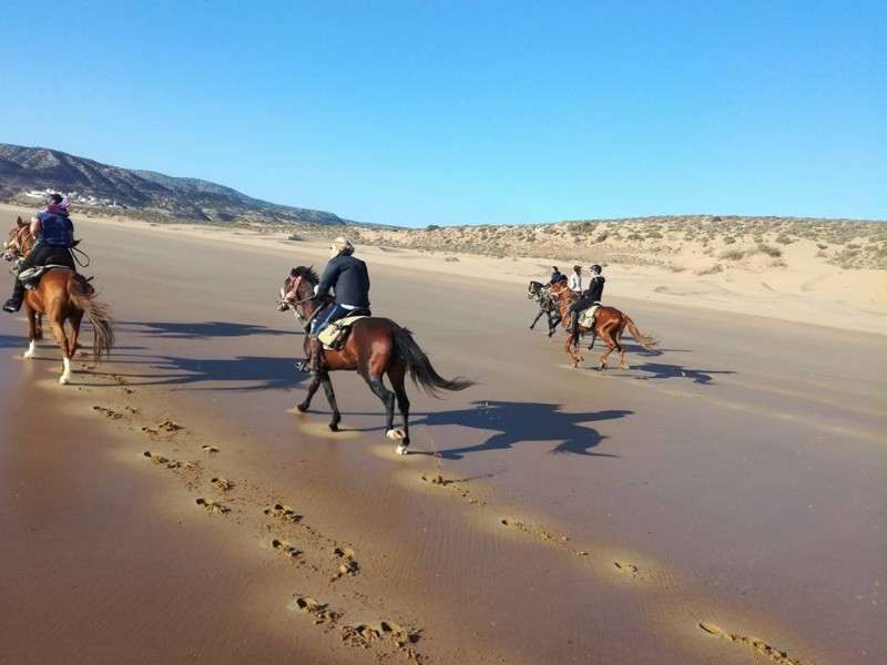vacances equestres maroc