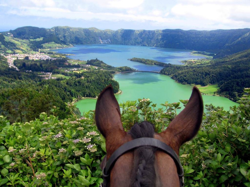 semaine équitation Acores