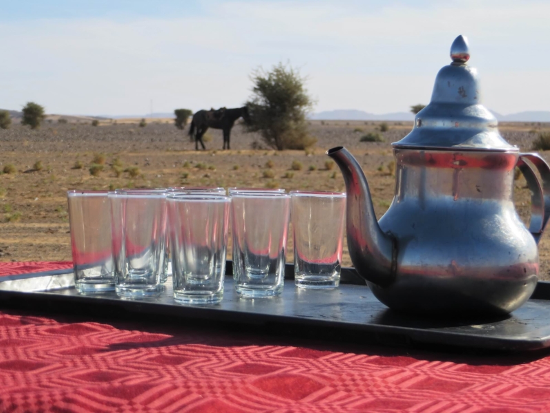 cheval au maroc