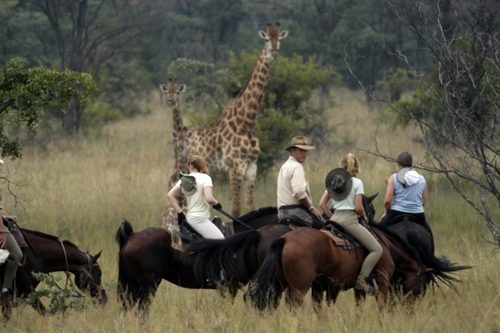 randonnée safari a cheval