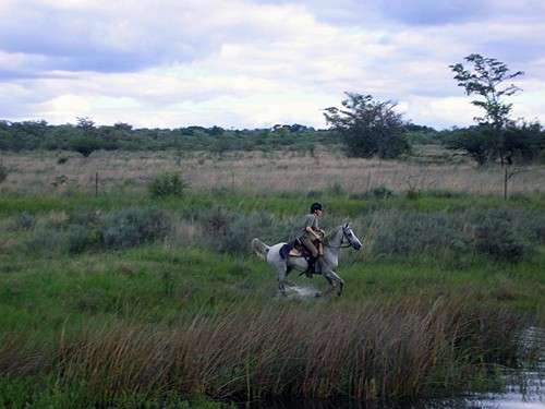 randonnée et safari à cheval