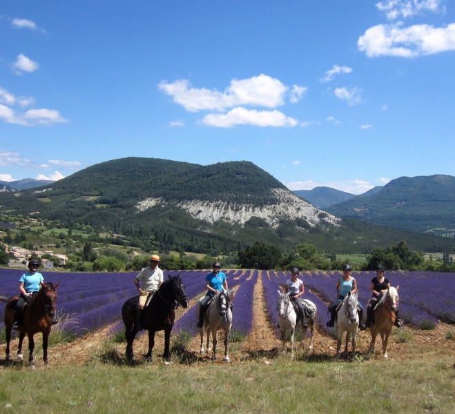 Drome provencale à cheval