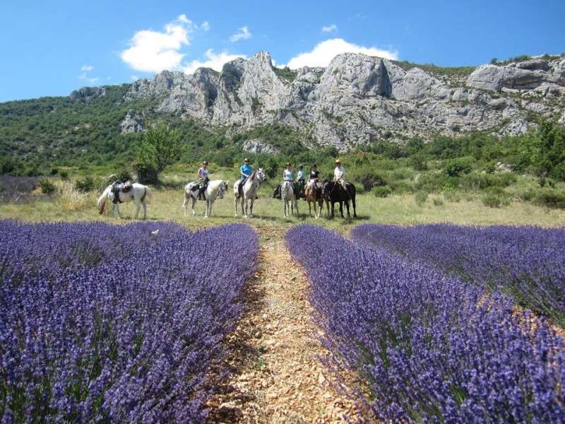randonnée d'été a cheval en Provence