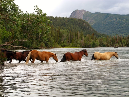 rando cheval au Canada