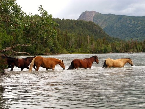 rando cheval au Canada