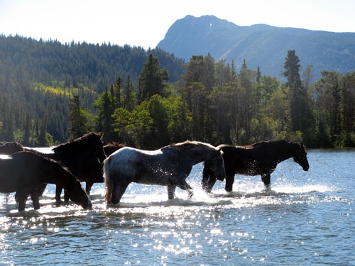 vacances a cheval canada