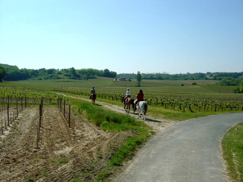 rando cheval France