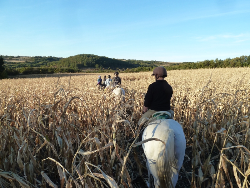 rando equestre Bulgarie