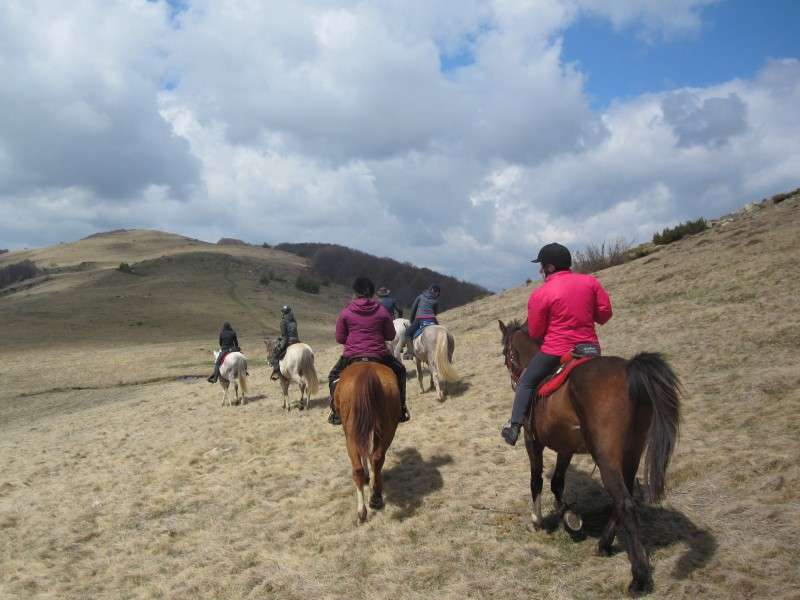 vacances a cheval en Bulgarie