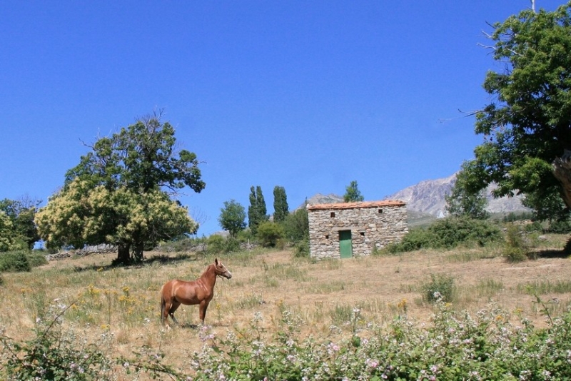 rando a cheval en France