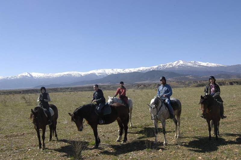 voyage equestre andalousie