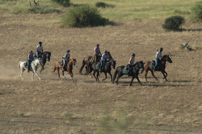 faire un safari à cheval