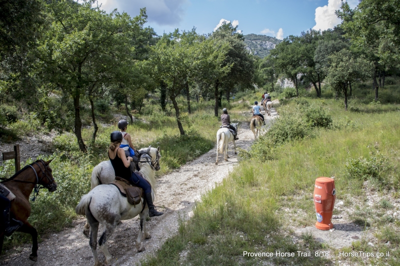 voyage a cheval en provence