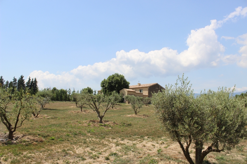 provence a cheval