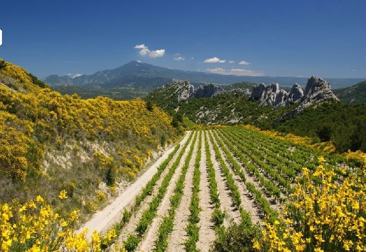 randonnee equestre provence