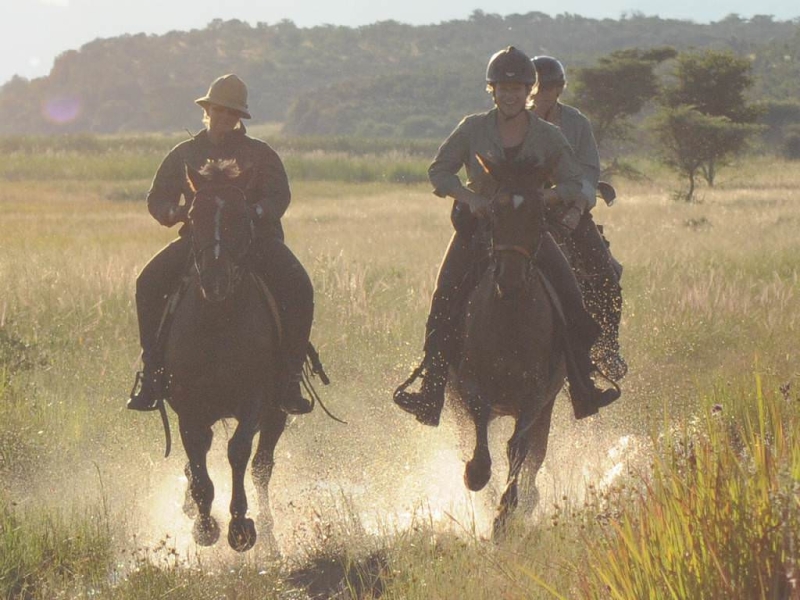 safari équestre Botswana