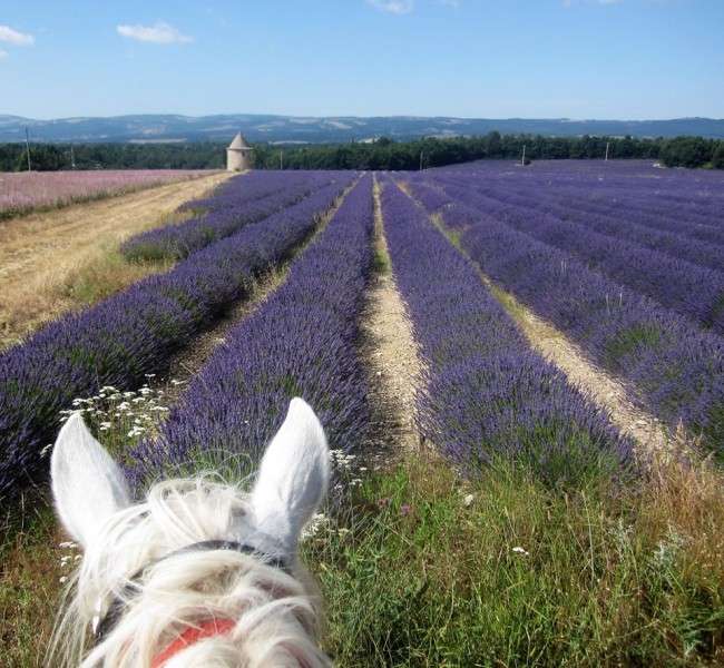 randonnee a cheval Provence Drome