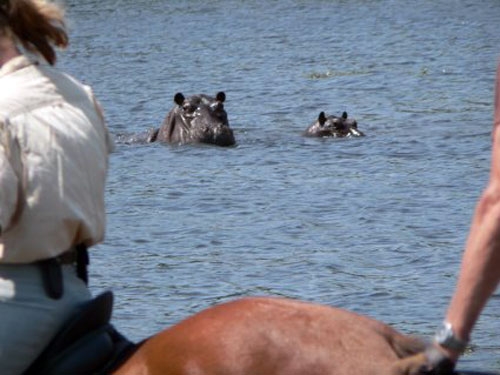 safari a cheval Botswana