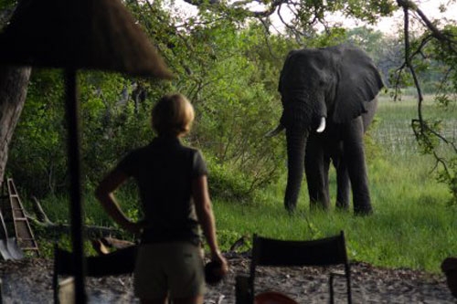 Botswana safari a cheval