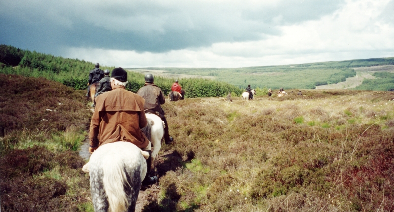 vacances cheval irlande