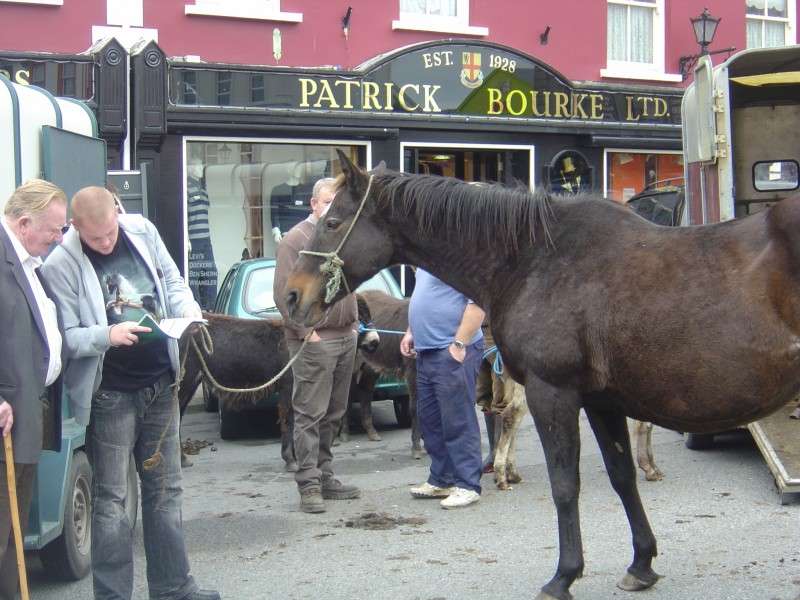 rando à cheval en Irlande