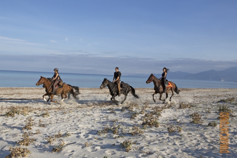 a cheval en corse