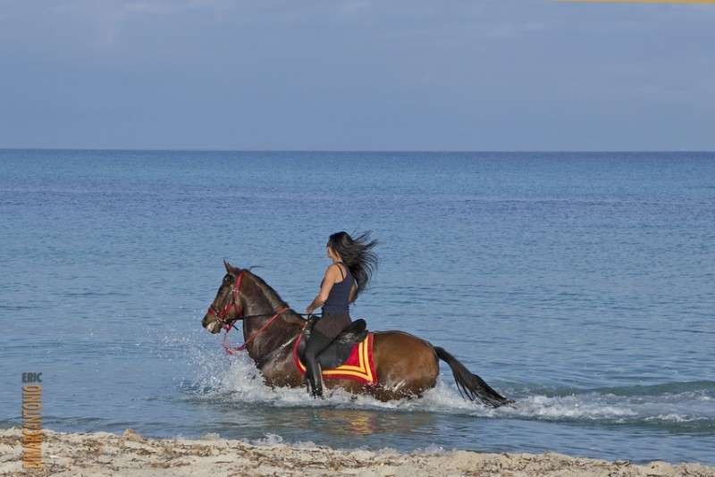 equitation en Corse