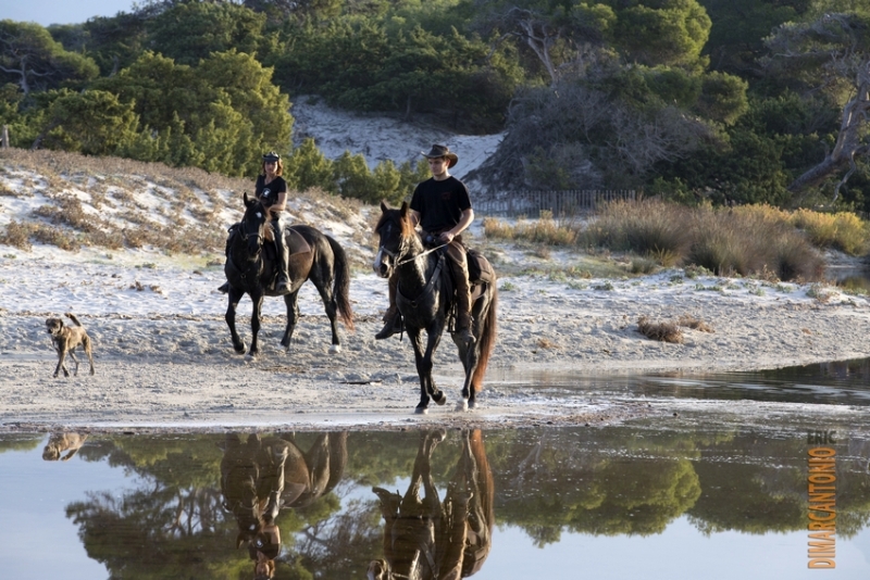 vacances a cheval en Corse