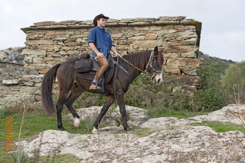 randonnee a cheval Corse