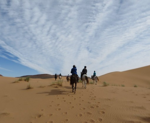 randonnée cheval Maroc