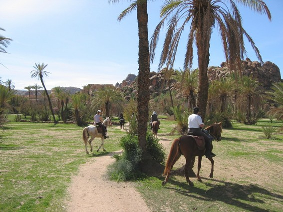 Maroc à cheval