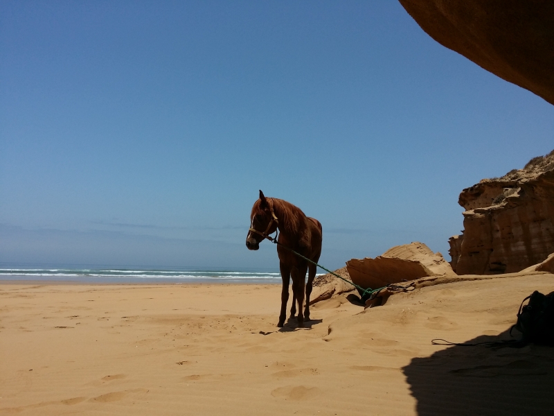 randonnee a cheval au Maroc