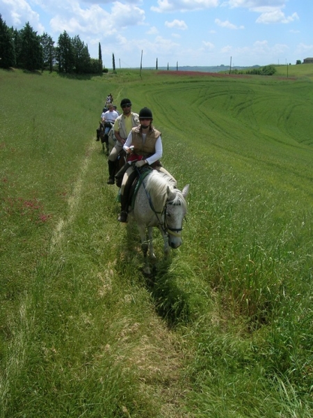 randonnee cheval en toscane