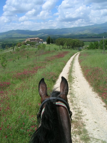 randonnee cheval toscane