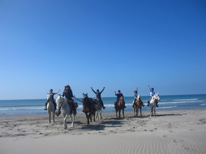 rando equestre en Camargue