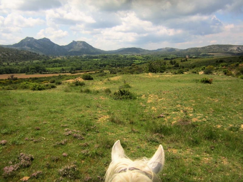 Alpilles randonnee equestre