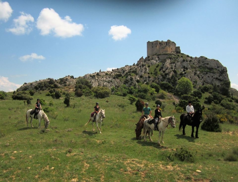 sejour equestre Alpilles Provence