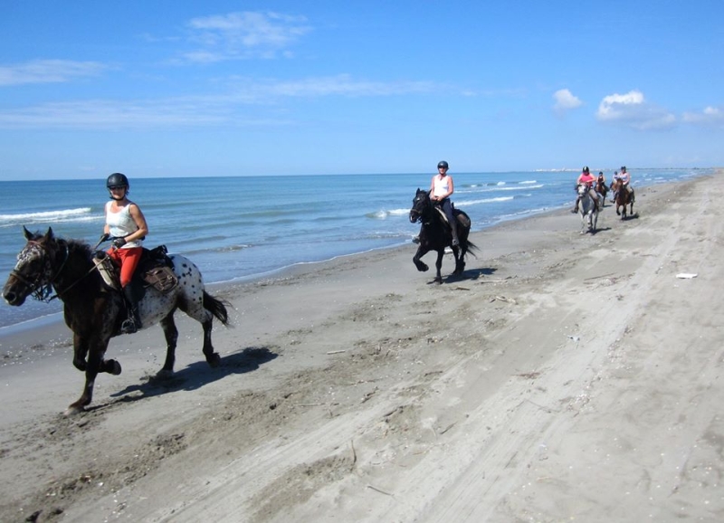 equitation en Camargue