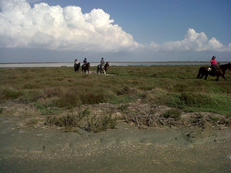 Randonnee a cheval Camargue