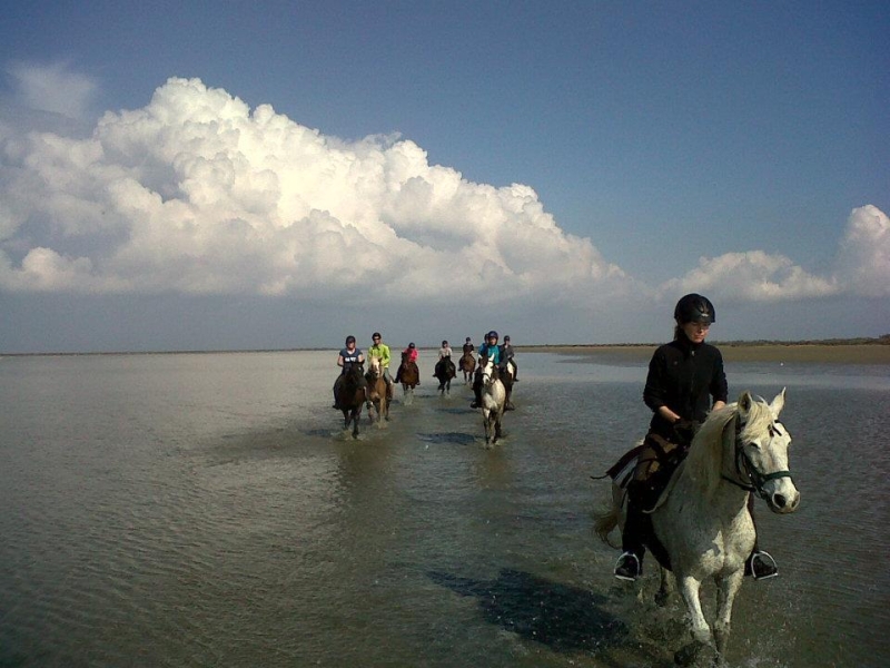 randonnee a cheval en Camargue