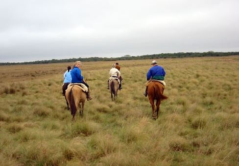 Argentine a cheval