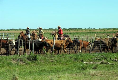 A cheval en Argentine